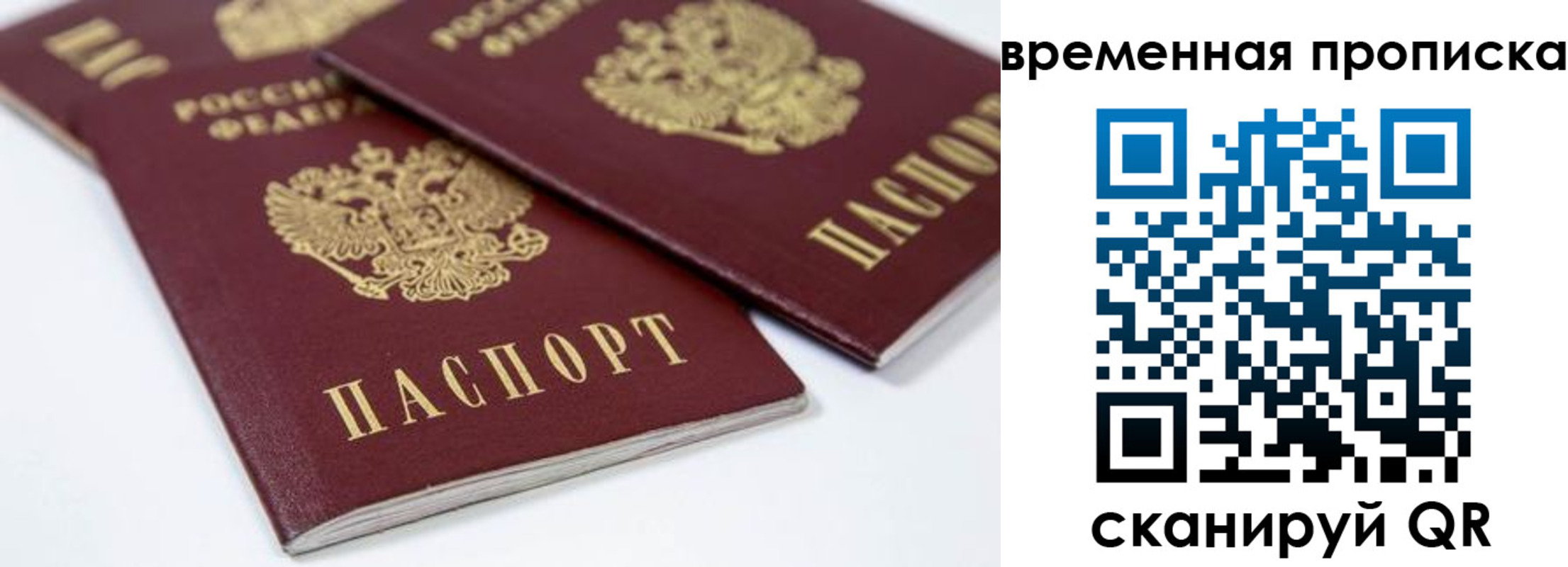 прописка для школы в Полевском